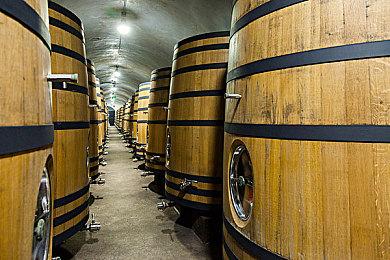 《暗黑4》内存泄露将被修复 考虑加入复活功能